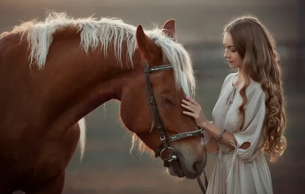 Девушка, лошадь, довольная, гладит