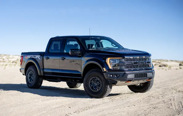 Ford, black, raptor
