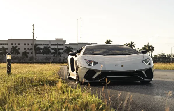 Картинка Lamborghini, Sunset, White, Aventador, Face, VAG, Sight