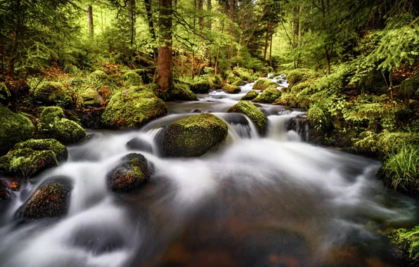 Картинка лес, пейзаж, природа, ручей, камни, течение, водопад, Robert Didierjean