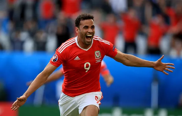 Футбол, футболист, английский, football, national team, Евро 2016, Euro 2016, Робсон-Кану