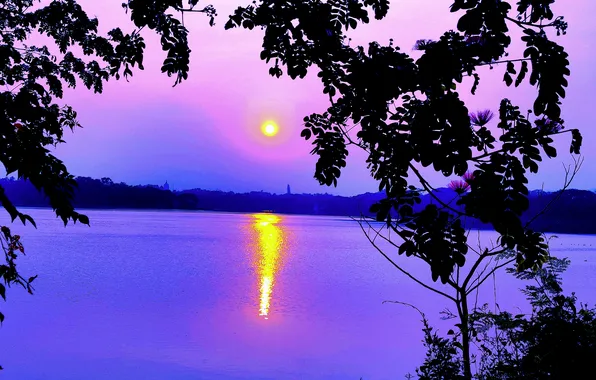 Sun, Water, Sunrise, Dawn, Morning, Lake, Trees, Reflection