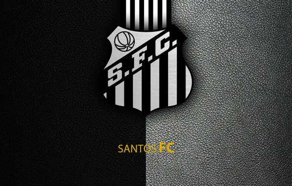 Wallpaper, sport, logo, football, Santos, Brazilian Serie A