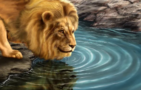 Хищник, картина, лев, водопой