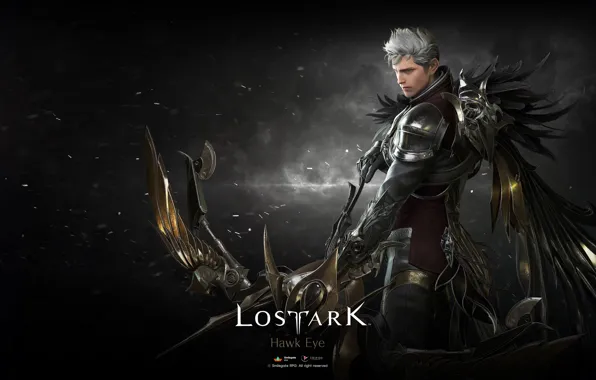 Оружие, парень, Lost Ark