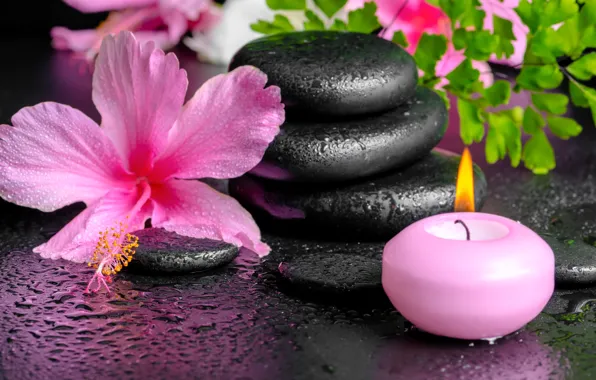 Flowers, Spa, background, спа, candles, spa stones