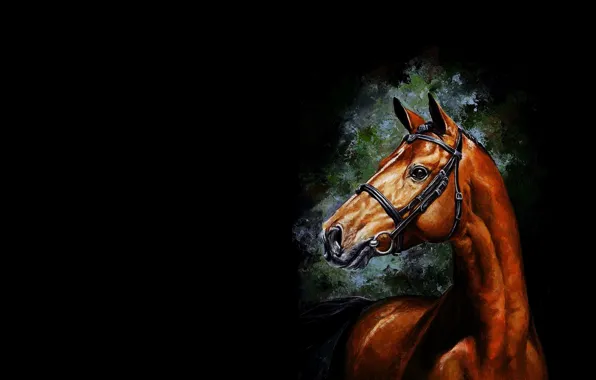 Картинка конь, лошадь, минимализм, арт