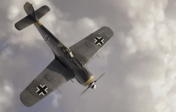 Fw 190, Люфтваффе, Focke-Wulfm, Würger