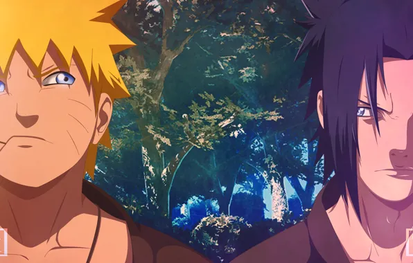 Лес, парни, Наруто, Naruto, Саске Учиха, Узумаки Наруто