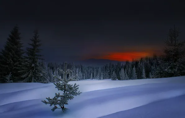 Зима, закат, болгария, Winter in Rhodope, родопи