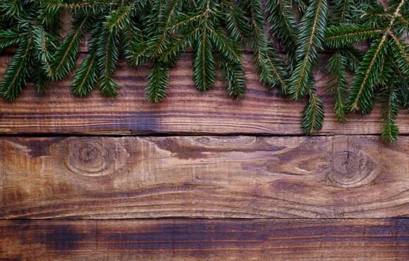 Фон, дерево, доски, елка, Christmas, wood, background, fir tree