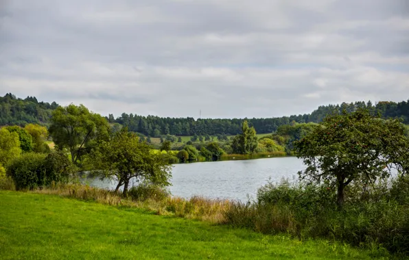 Картинка трава, природа, озеро, фото, Германия, кусты, Ellscheid