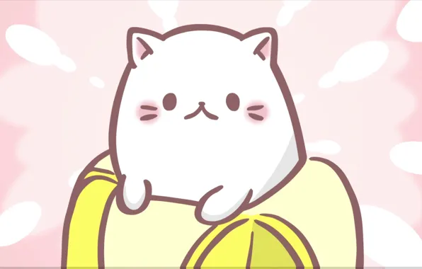 Котёнок, киса, милашка
