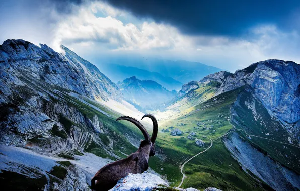 Sky, landscape, cloud, snow, vegetation, tourism, Mount Pilatus, horn