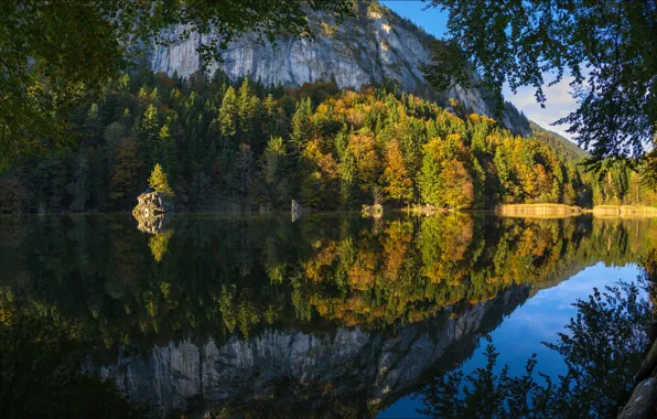 Осень, лес, деревья, горы, озеро, Австрия, Тироль