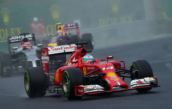Картинка Formula 1, Champion, Alonso, Fernando