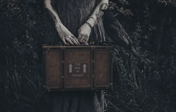 Руки, чемодан, ворона, Lucz Anne fowler