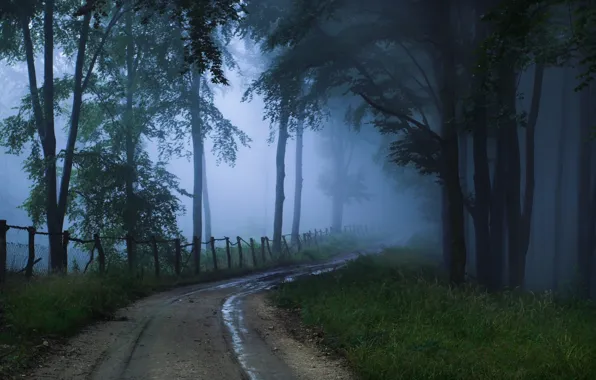 Картинка дорога, туман, неизвестность