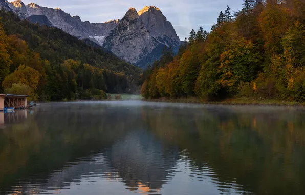 Деревья, горы, туман, озеро, утро, Евгения Чех, Riessersee