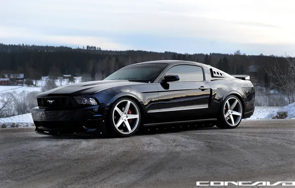 Картинка Ford Mustang, Grey, Face, Machined, concavo, on CW-5 Matte