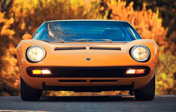 Авто, Lamborghini, Машина, Оранжевый, Ресницы, 1971, Фары, Автомобиль