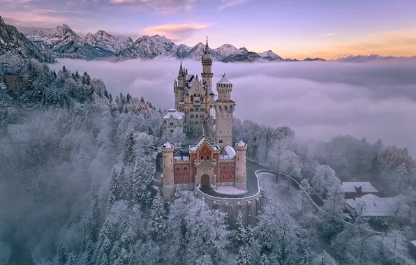 Зима, лес, горы, туман, замок, Германия, Бавария, Germany