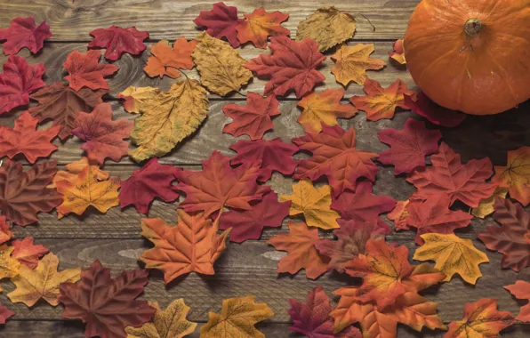 Картинка осень, листья, фон, дерево, colorful, доска, wood, background