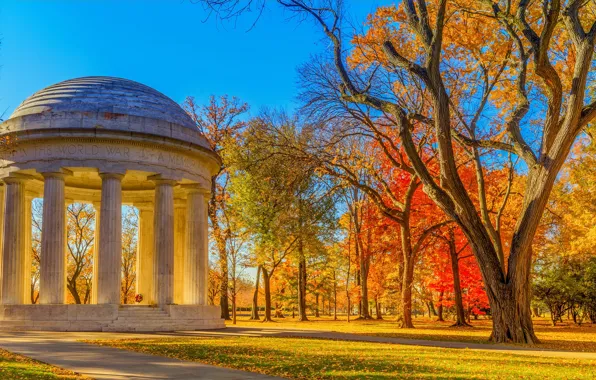 Осень, листья, солнце, деревья, парк, желтые, Вашингтон, США
