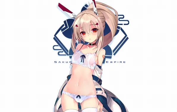 Girl, sexy, lingerie, pantsu, bra, cleavage, panties, thighhighs