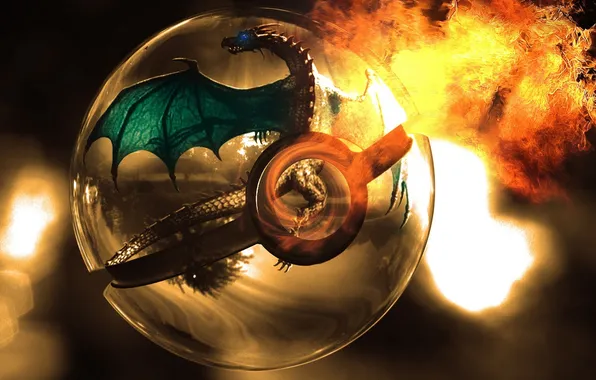 Картинка огонь, дракон, шар, арт, сфера, pokemon, pokeball, charizard