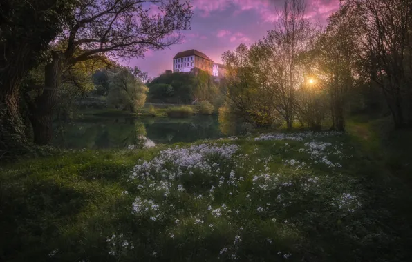 Цветы, природа, река, замок, весна, Хорватия, Карловац, The Castle of Ozalj