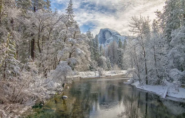 Зима, лес, деревья, горы, река, долина, Калифорния, California