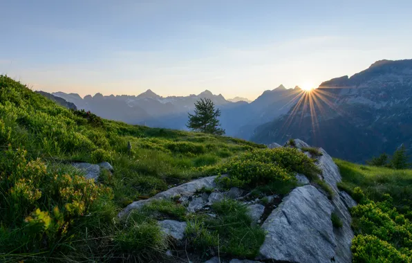 Горы, восход, рассвет, Швейцария, Альпы, Switzerland, Alps
