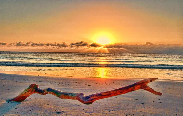 Песок, море, небо, солнце, облака, закат, ветки, берег