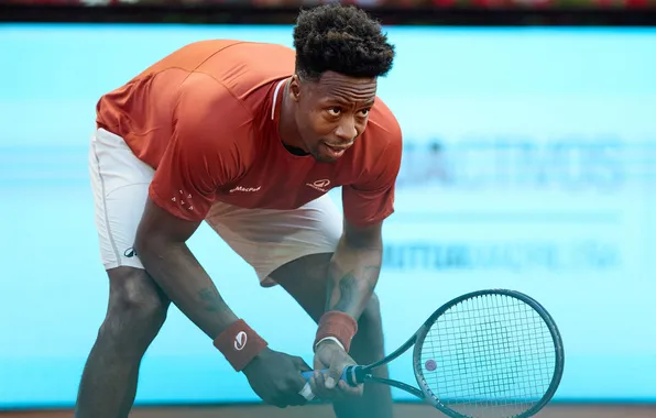 Sport, ATP, Tennis, French, Gael Monfils, Monflis