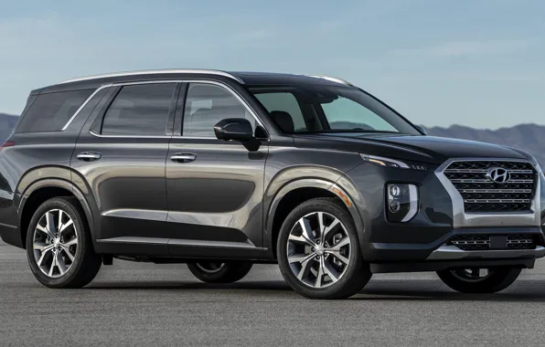 Car, машина, внедорожник, серая, Hyundai, сбоку, большая машина, Hyundai Palisade