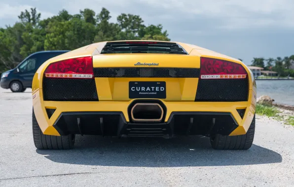 Lamborghini, ламбо, вид сзади, Lamborghini Murcielago, Murcielago