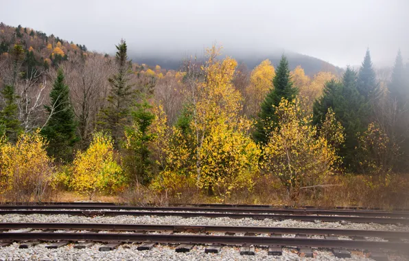 Картинка осень, деревья, горы, туман, рельсы, Nature, trees, autumn