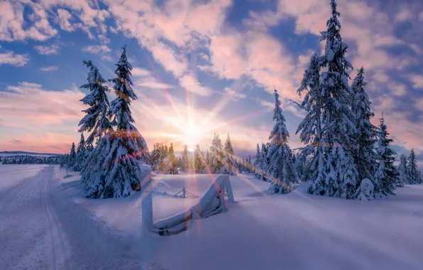 Зима, солнце, свет, снег, звезда, утро, Норвегия
