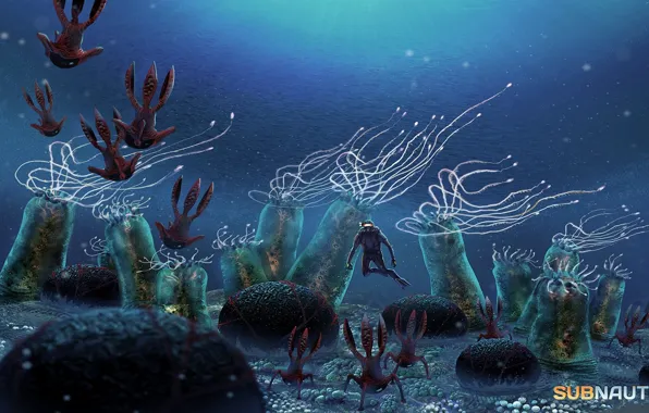 Океан, водолаз, арт, Subnautica
