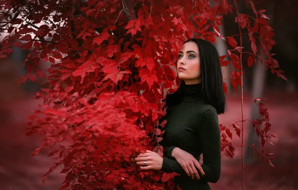 Осень, взгляд, девушка, поза, Настя, Arif Atlı