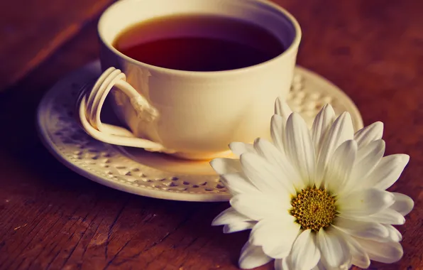 Картинка цветы, чай, чашка, натюрморт, flowers, cup, still life, drink