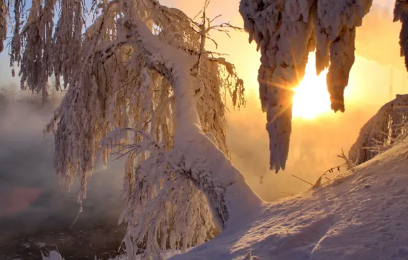Картинка зима, солнце, снег, деревья, утро, лучи света
