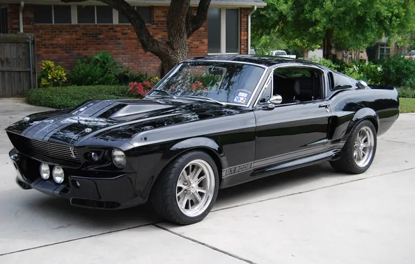 Shelby, GT500, Ford Mustang