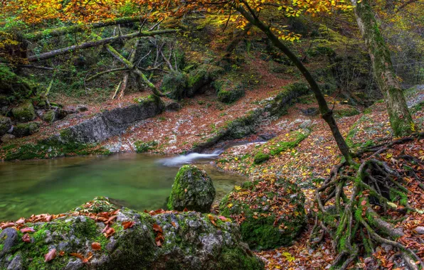 Картинка осень, листья, вода, деревья, озеро, река, камни, мох