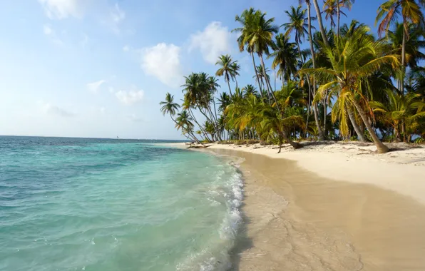 Природа, тропики, пальмы, океан, берег, экзотика, Panama, San Blas