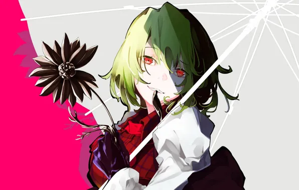 Цветок, девушка, Touhou, Тохо, Тоухоу, Yuuka Kazami