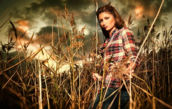 Трава, девушка, модель, girl, в поле
