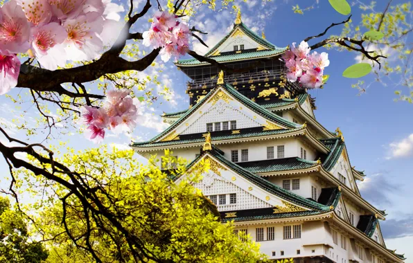 Замок, Япония, сакура, цветение, японский, castle, japanese