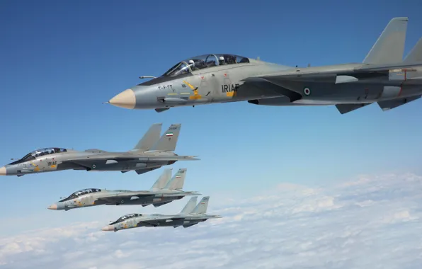 Картинка небо, истребители, Grumman, Tomcat, F-14, палубные